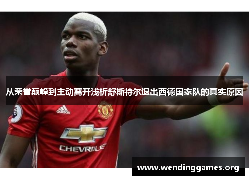从荣誉巅峰到主动离开浅析舒斯特尔退出西德国家队的真实原因 从荣誉巅峰到主动离开浅析舒斯特尔退出西德国家队的真实原因